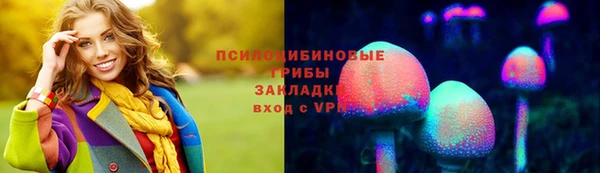 гашик Волосово