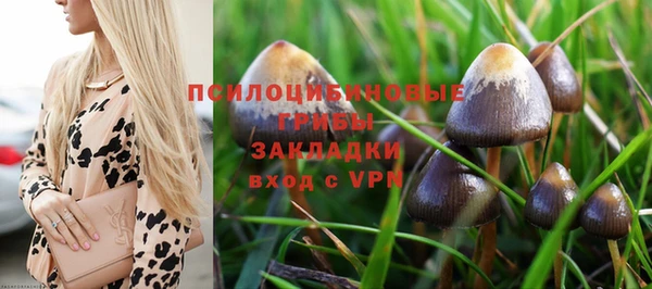 СК Володарск