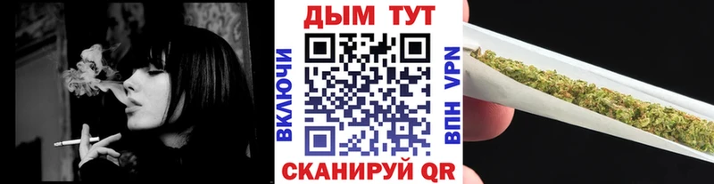 Купить закладки  Пестово  Канабис планчик 